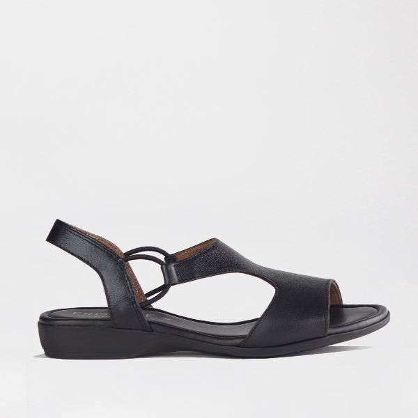 Froggie Shoes Shoes 3 / Black / 12104 Slingback T-Bar Flat Sandal in Black - 12104