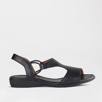 Froggie Shoes Shoes 3 / Black / 12104 Slingback T-Bar Flat Sandal in Black - 12104