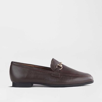 Froggie Shoes Shoes 3 / Brown / 12976 Closed Loafer with gold trim in Brown - 12976