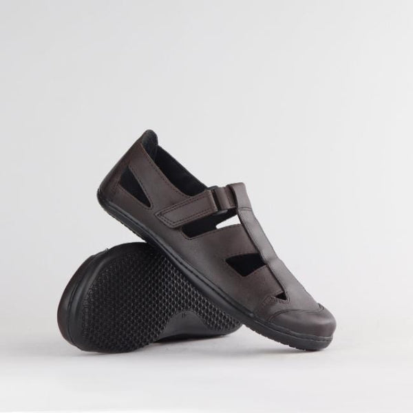Froggie Shoes Shoes Boys School Sandal  in Brown Sizes  28 -33 - 7816