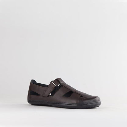 Froggie Shoes Shoes Boys School Sandal  in Brown Sizes  28 -33 - 7816
