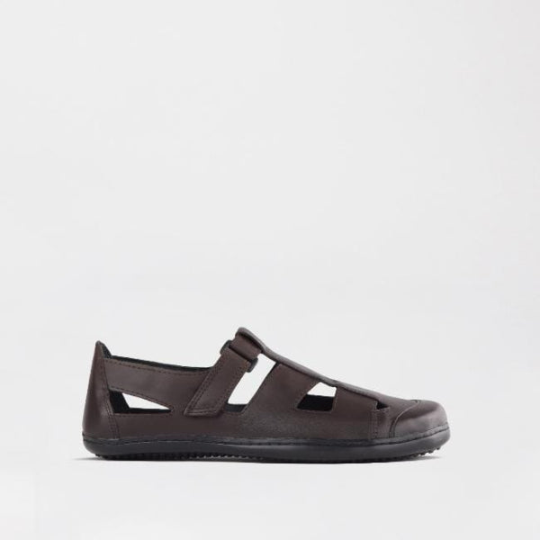 Froggie Shoes Shoes C28 / Brown / 7816 Boys School Sandal  in Brown Sizes  28 -33 - 7816