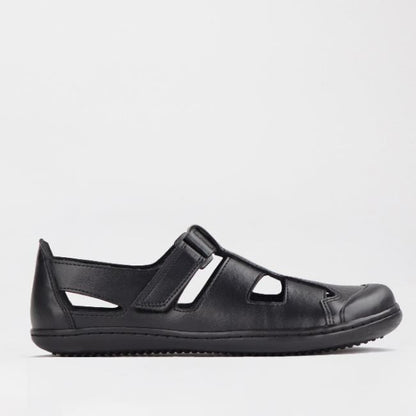 Froggie Shoes Shoes C34 / Black / 7817 Boys School Sandal in Black Sizes 34 - 38 - 7817