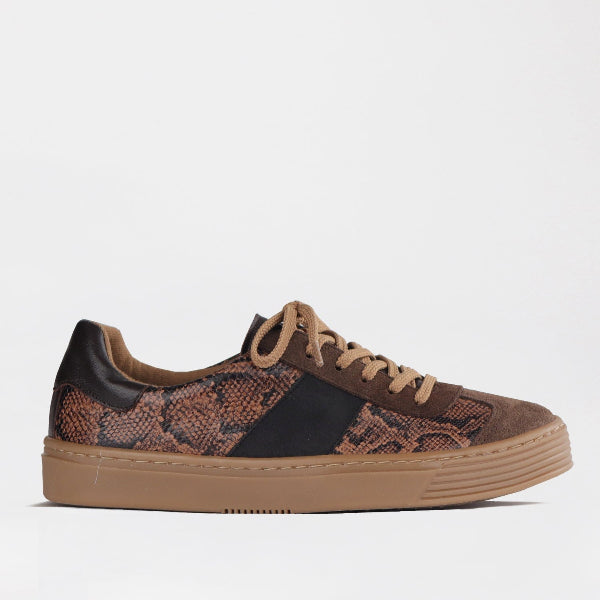 Froggie Shoes Shoes 12795 / Saddle Multi / 4 Retro Lace-up Sneaker in Python Multi -12795