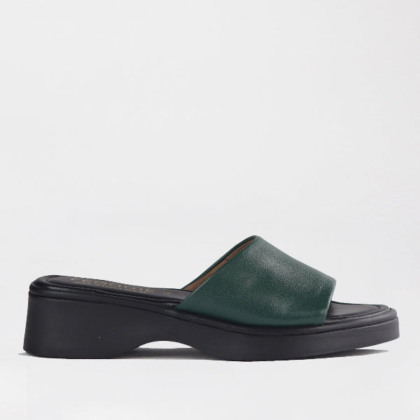 Factory Shop Shoes 3 / Pine / 12925 Froggie Women&