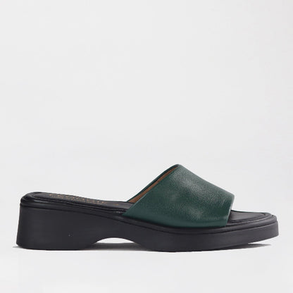 Factory Shop Shoes 3 / Pine / 12925 Froggie Women&