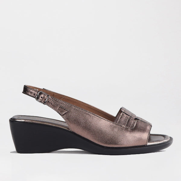 Factory Shop Shoes C36 / Lead Metallic / 12931 Froggie Women&