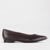 Froggie Shoes 3 / Brown / 12713 Flat Pointed Court Shoe in Brown - 12713