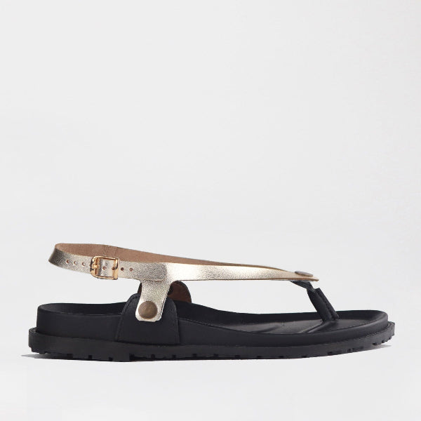 Froggie Shoes Shoes Sling back buckle in Gold STRAP ONLY - 12892