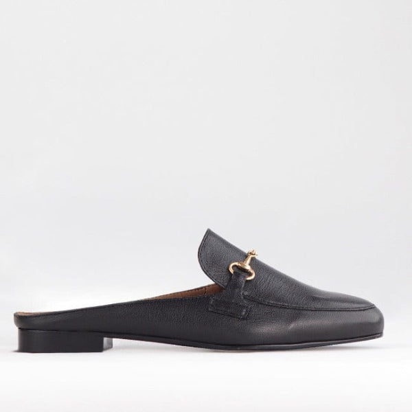 Froggie Shoes Shoes 3 / Black / 12450 Mule with Gold Trim in Black - 12450