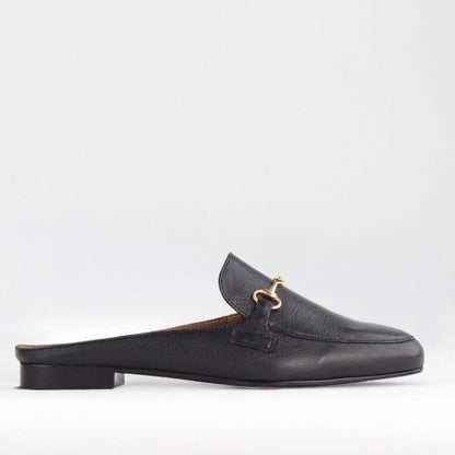 Froggie Shoes Shoes 3 / Black / 12450 Mule with Gold Trim in Black - 12450