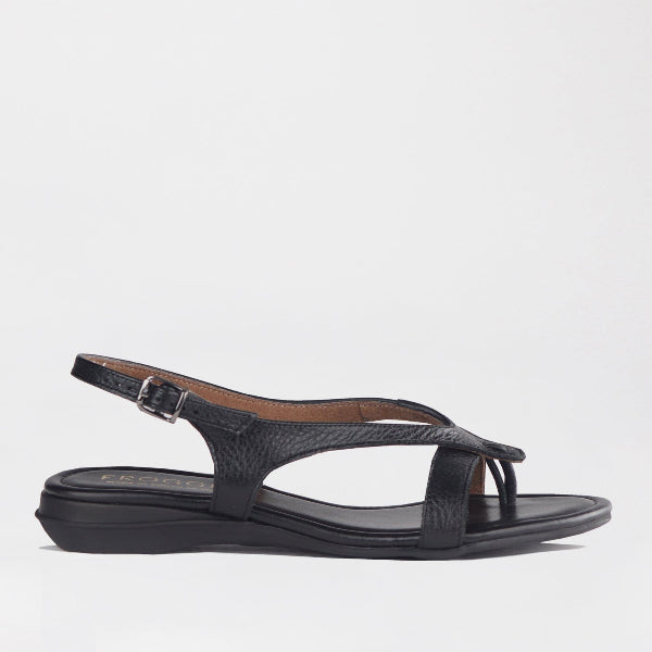 Froggie Shoes Shoes 3 / Black / 12954 Slingback Toe Thong Flat Sandal in Black - 12954