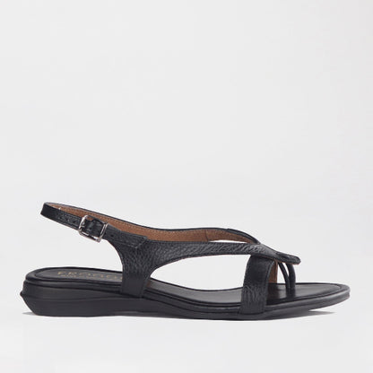 Froggie Shoes Shoes 3 / Black / 12954 Slingback Toe Thong Flat Sandal in Black - 12954