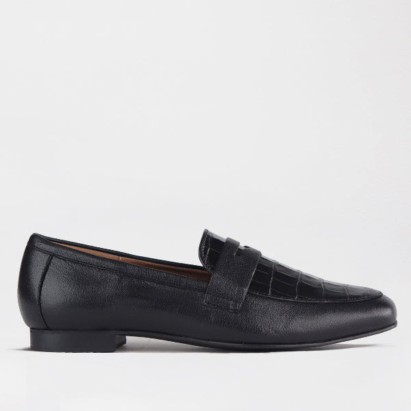 Froggie Shoes Shoes 3 / Black Multi / 12587 Penny Loafer in Black - 12587