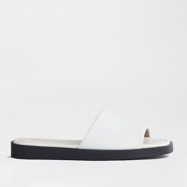 Froggie Shoes Shoes 3 / White / 12865 Froggie Women&