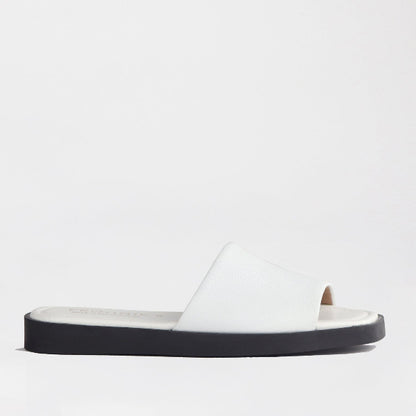 Froggie Shoes Shoes 3 / White / 12865 Froggie Women&
