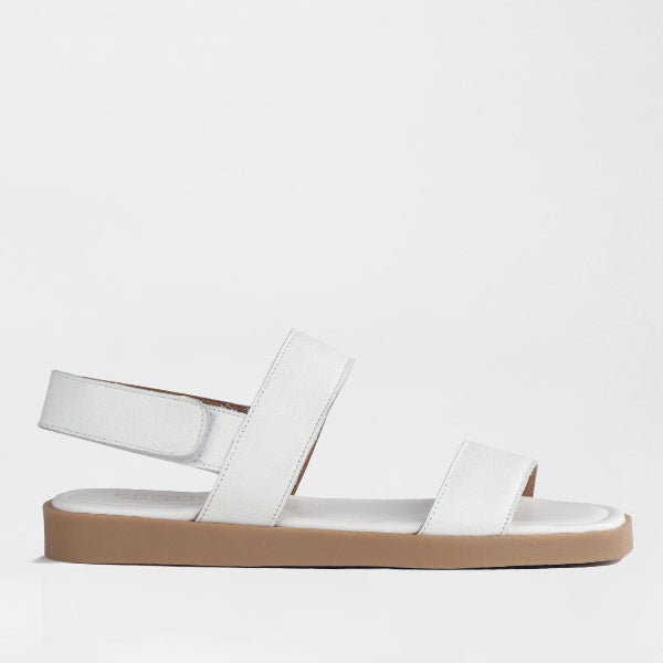 Froggie Shoes Shoes 3 / White / 12867 Froggie Women&