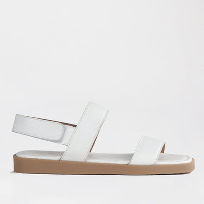 Froggie Shoes Shoes 3 / White / 12867 Froggie Women&