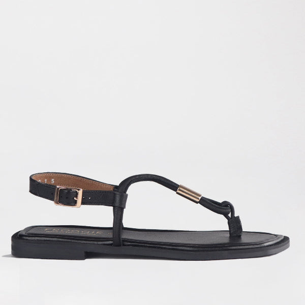 Froggie Shoes Shoes 4 / Black / 12994 Spaghetti jewel thong Flat Sandal in Black - 12994