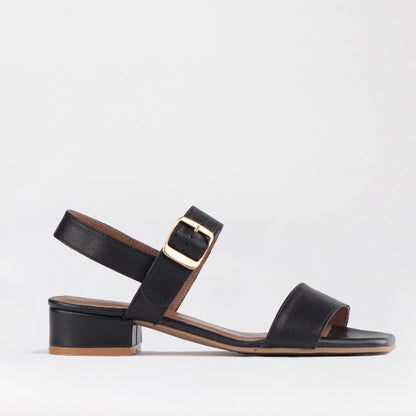 Froggie Shoes Shoes Block Heel Sandal in Black - 12408
