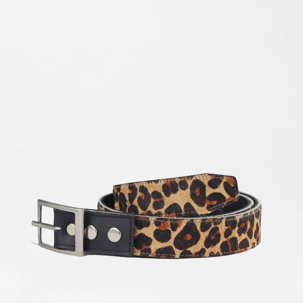 Froggie Shoes Shoes C32 / Black Multi / 12978 Women&