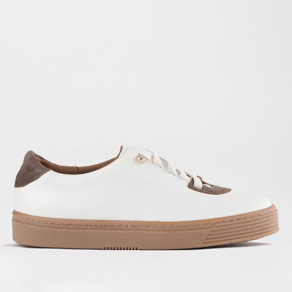 Froggie Shoes Shoes Elasticated lace-up Sneaker in White Multi - 12843