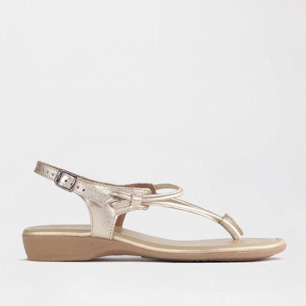 Froggie Shoes Shoes 3 / Gold / 10732 Women&