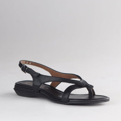 Froggie Shoes Shoes Slingback Toe Thong Flat Sandal in Black - 12954