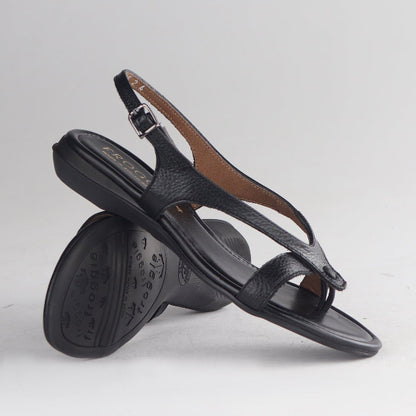 Froggie Shoes Shoes Slingback Toe Thong Flat Sandal in Black - 12954