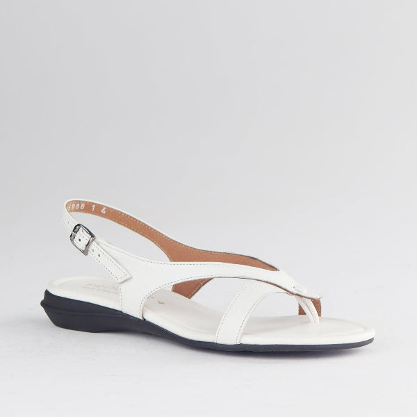 Froggie Shoes Shoes Slingback Toe Thong Flat Sandal in White - 12954