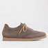 Froggie Shoes Shoes 36 / 12896 / Grey Suede Sneaker in Carbon - 12896
