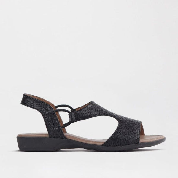 Froggie Shoes Shoes 3 / Black Multi / 12104 Slingback T-Bar Flat Sandal in Black Multi - 12104