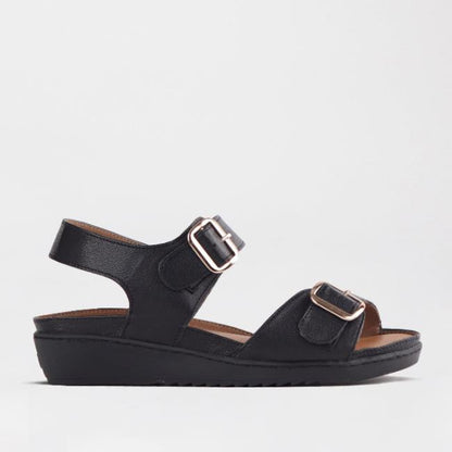 Froggie Shoes Shoes Double Band Sandal with Removable footbed in Black - 12411