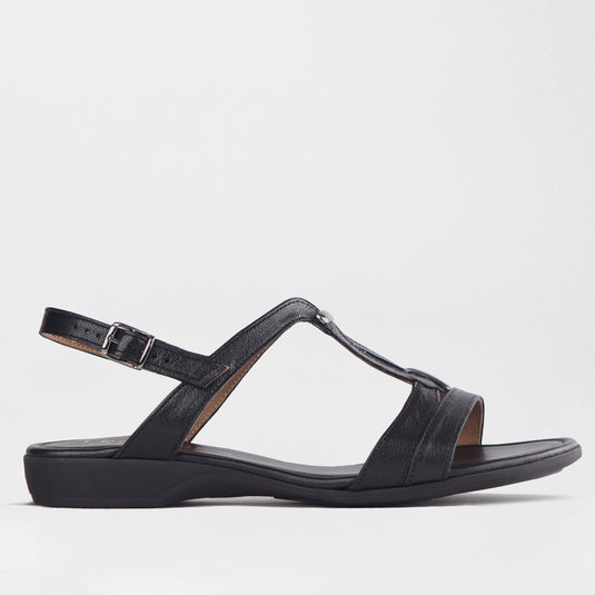 Froggie factory shop | Leather Shoes | South Africa – Froggie Shoes