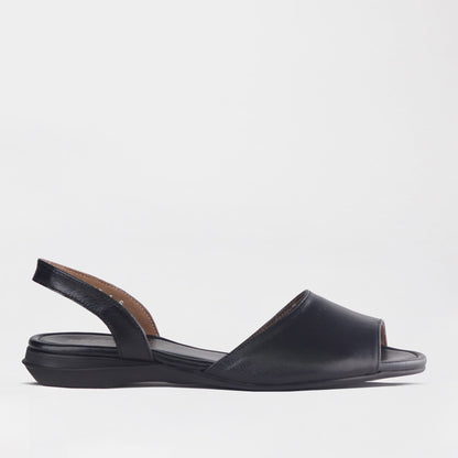 Factory Shop Shoes 3 / Black / 13124 Flat Backstrap Sandal