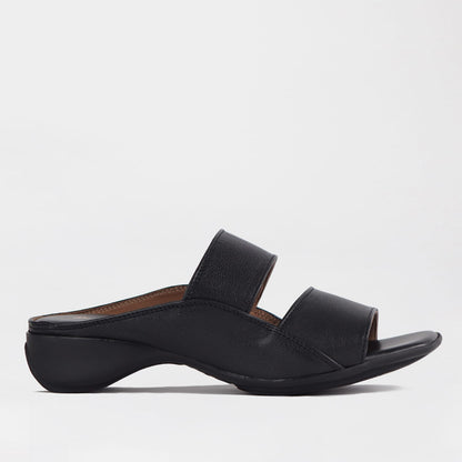 Froggie Shoes 4 / Black / 12317 Froggie Women&