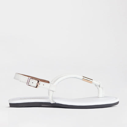 Froggie Shoes Sandals 4 / White / 13085 Flat Thong Sandal with Adjustable Trim