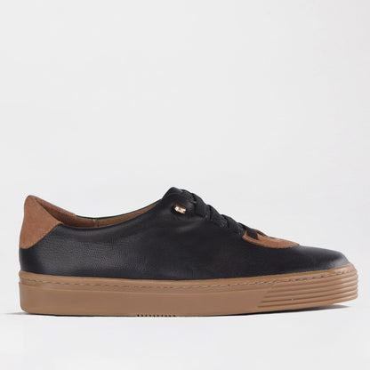 Froggie Shoes Shoes 12843 / Black/Tobacco / 4 Elasticated lace-up Sneaker with Removable Footbed in Black/Tobacco - 12843