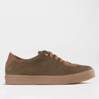 Froggie Shoes Shoes 12843 / Forest Multi / 4 Elasticated lace-up Sneaker with Removable Footbed in Forest Multi - 12843