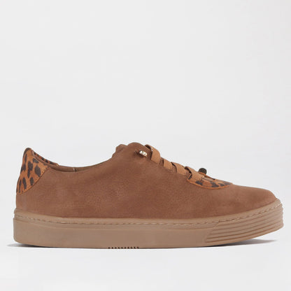 Froggie Shoes Shoes 12843 / Multi Tobacco / 4 Elasticated lace-up Sneaker with Removable Footbed in Tobacco Multi - 12843