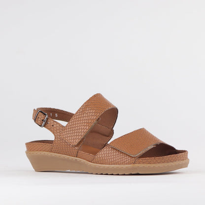 Froggie Shoes Shoes 2-Strap Sandal with Removable Footbed in Tan - 12655