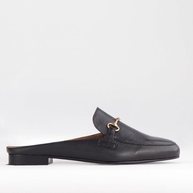 Froggie Shoes Shoes 3 / Black / 12450 Mule with Gold Trim in Black - 12450