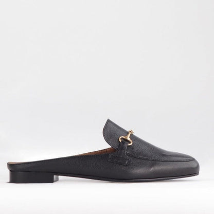 Froggie Shoes Shoes 3 / Black / 12450 Mule with Gold Trim in Black - 12450