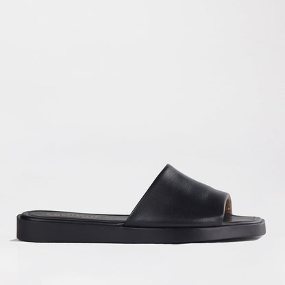 Froggie Shoes Shoes 3 / Black / 12865 Mule Flat Sandal in Black - 12865