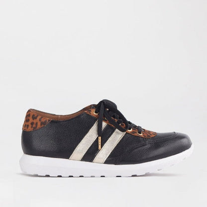 Froggie Shoes Shoes 3 / Black/Gold / 12459 Lace-up Glam Sneakers in Black-Gold - 12459