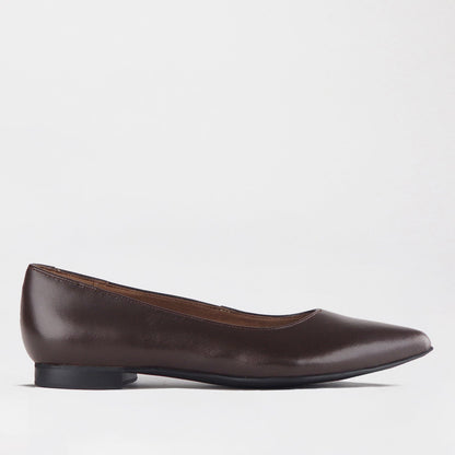 Froggie Shoes Shoes 3 / Brown / 12713 Flat Pointed Court Shoe in Brown - 12713