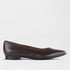 Froggie Shoes Shoes 3 / Brown / 12713 Flat Pointed Court Shoe in Brown - 12713