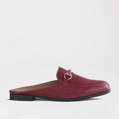 Froggie Shoes Shoes 3 / Burgundy / 12977 Open back mule with gold trim in Burgundy - 12977