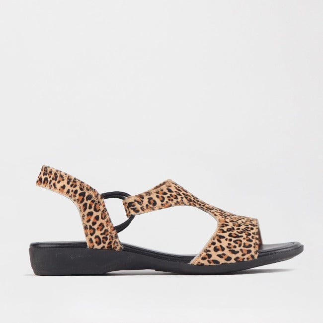 Froggie Shoes Shoes 3 / Cheetah Tan / 12104 Slingback T-Bar Flat Sandal in Cheetah Tan - 12104