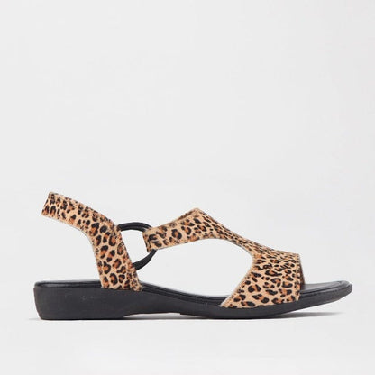 Froggie Shoes Shoes 3 / Cheetah Tan / 12104 Slingback T-Bar Flat Sandal in Cheetah Tan - 12104